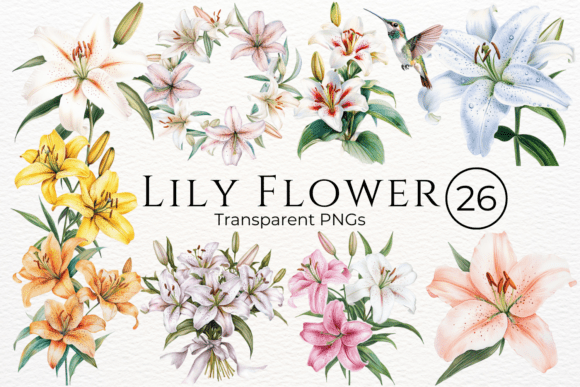 Download Lily Flower Watercolor Cliparts - Cliparts Collection