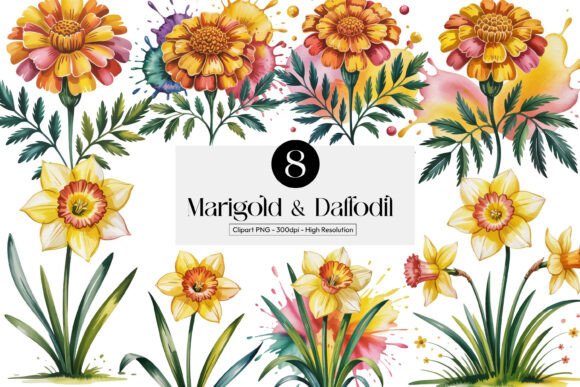 Download Marigold &amp; Daffodil Cliparts Pngs - Cliparts Collection