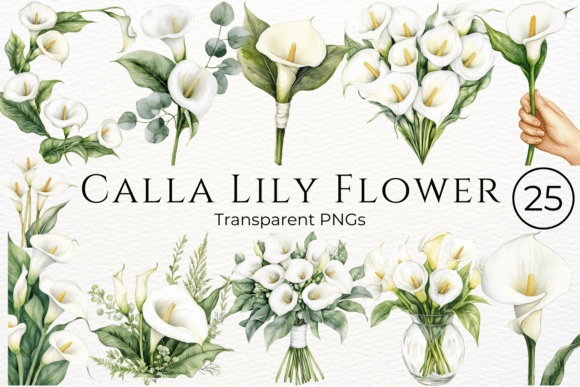 Download Calla Lily Flower Watercolor Cliparts - Cliparts Collection
