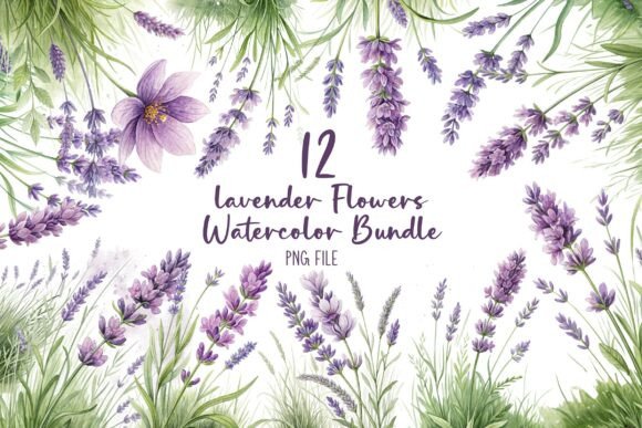Download Lavender Flowers Watercolor Bundle - Lavender flowers Collection