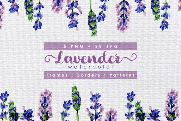 Download Holiday Purple Lavender Flowers Watercolor Set - Lavender flowers Collection
