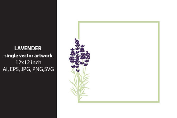 Download Lavender Flowers - Premium Bundle