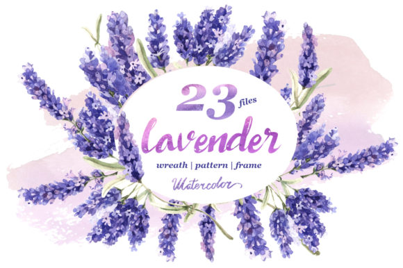 Download Lavender Flowers in Watercolor - Lavender flowers Collection