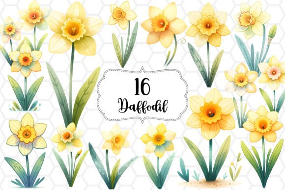 Download Daffodil Flower Watercolor Cliparts PNG - Cliparts Collection