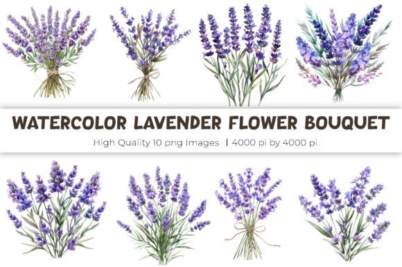 Download Watercolor Lavender Flowers Bouquet - Lavender flowers Collection