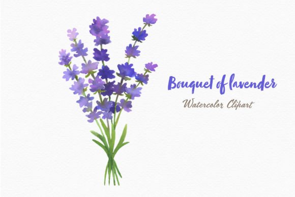 Download Lavender Flowers Watercolor Bouquet Png - Lavender flowers Collection