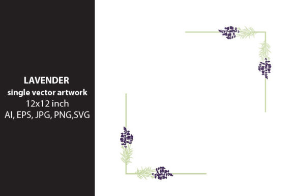 Download Lavender Flowers - Lavender flowers Collection