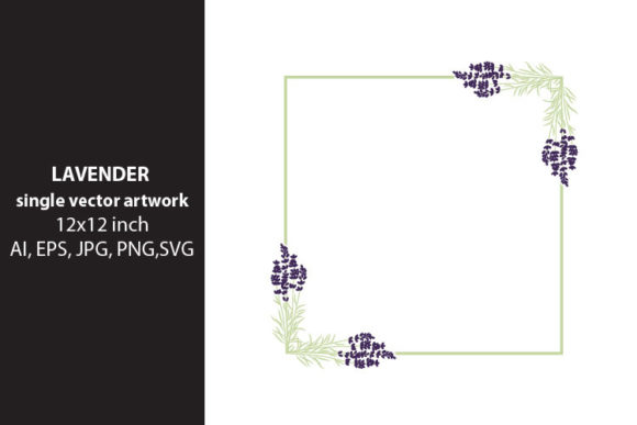 Download Lavender Flowers - Premium Resources