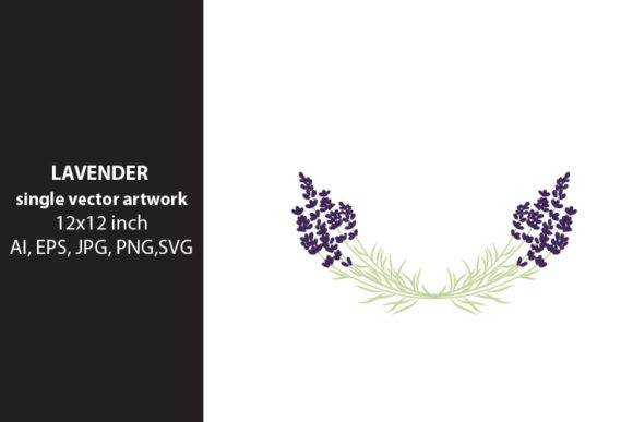 Download Lavender Flowers - Premium Resources