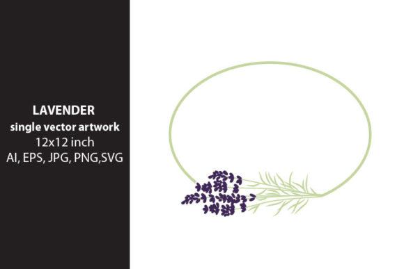 Download Lavender Flowers - Lavender flowers Collection