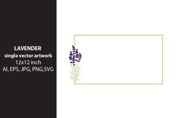 Download Lavender Flowers - Lavender flowers Collection