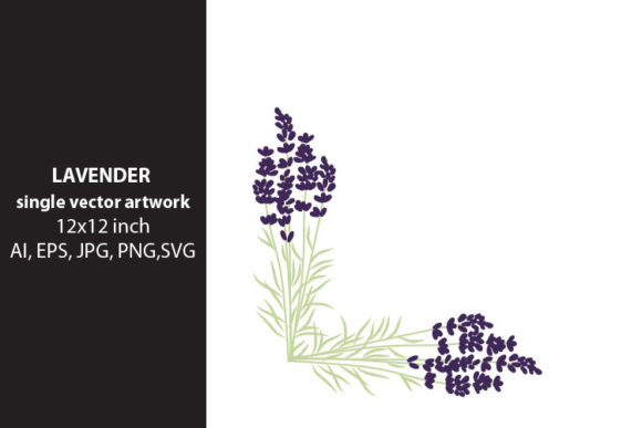 Download Lavender Flowers - Premium Resources