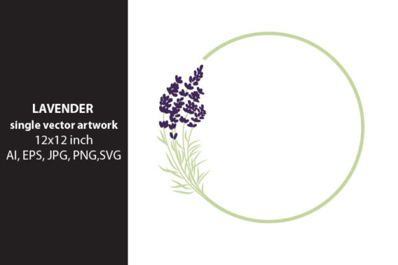 Download Lavender Flowers - Premium Resources