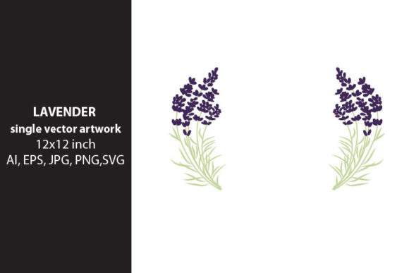 Download Lavender Flowers - Premium Bundle